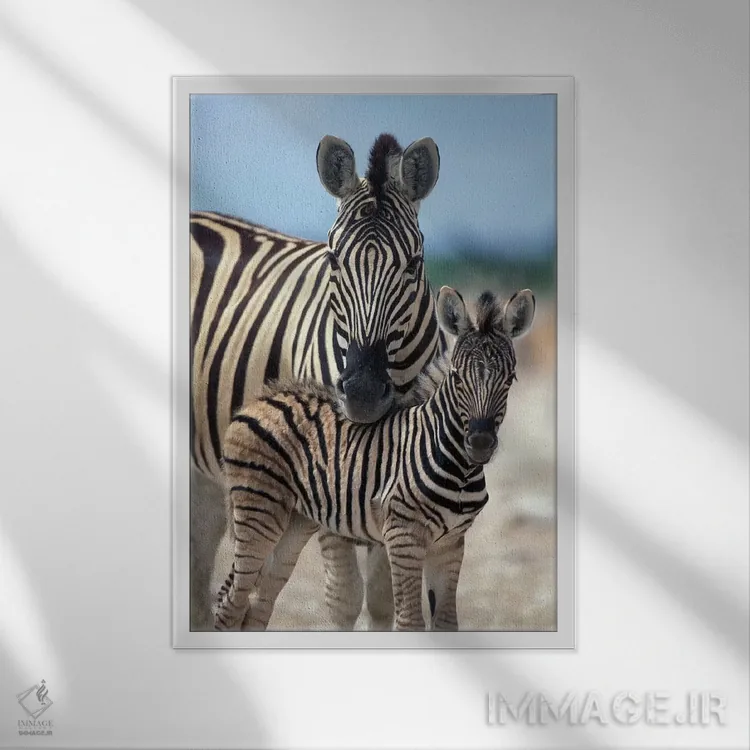 تابلو دکوراتیو Namibia, Etosha National Park,,گله گورخر در تالاب نمکی نزدیک آ… اثر پل سودرز - نمای قابدار سفید
