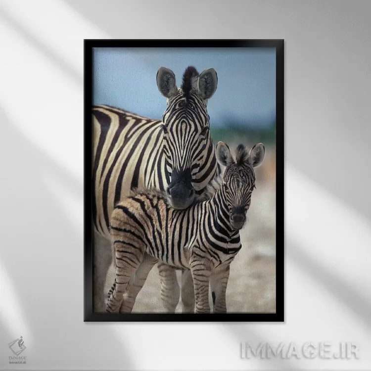 تابلو دکوراتیو Namibia, Etosha National Park,,گله گورخر در تالاب نمکی نزدیک آ… اثر پل سودرز - نمای قابدار مشکی