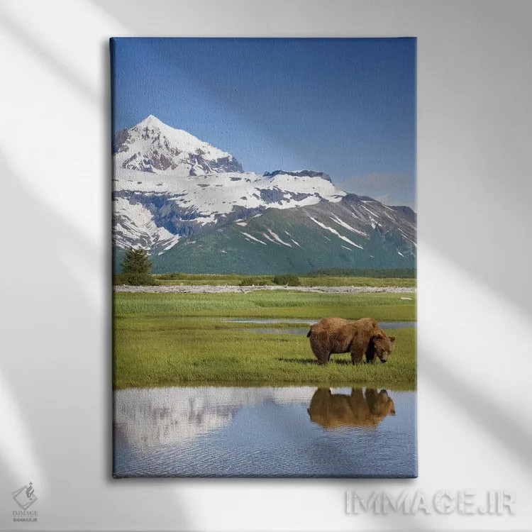 تابلو دکوراتیو Katmai National Park, Alaska, USA,خرس گریزلی در حال چرا در نزد… اثر پل سودرز - نمای روبهرو روی دیوار