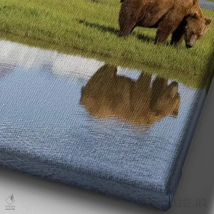 تابلو دکوراتیو Katmai National Park, Alaska, USA,خرس گریزلی در حال چرا در نزد… اثر پل سودرز - نمای نزدیک بافت بوم