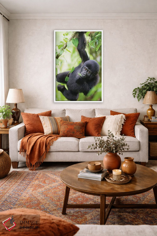 تابلو دکوراتیو Uganda, Bwindi Impenetrable National Park.,بچه گوریل کوهی در ح… اثر پل سودرز - D2W