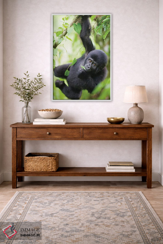 تابلو دکوراتیو Uganda, Bwindi Impenetrable National Park.,بچه گوریل کوهی در ح… اثر پل سودرز - D4W