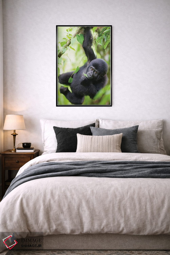 تابلو دکوراتیو Uganda, Bwindi Impenetrable National Park.,بچه گوریل کوهی در ح… اثر پل سودرز - D6B