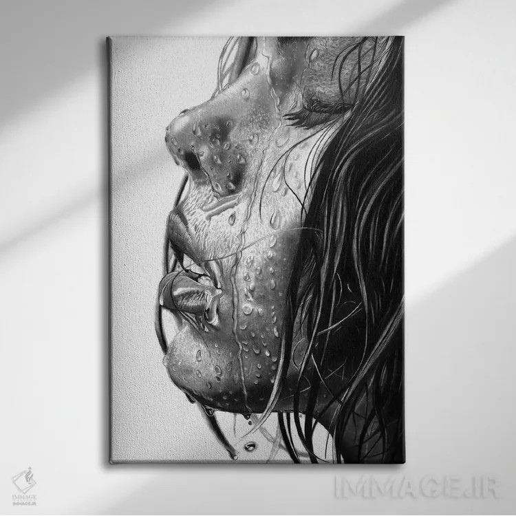 تابلو دکوراتیو خیس اثر پل استوو - نمای روبهرو روی دیوار
