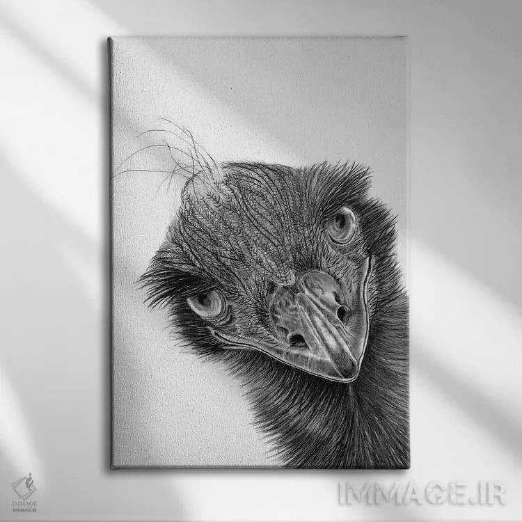 تابلو دکوراتیو ایمو اثر پل استوو - نمای روبهرو روی دیوار
