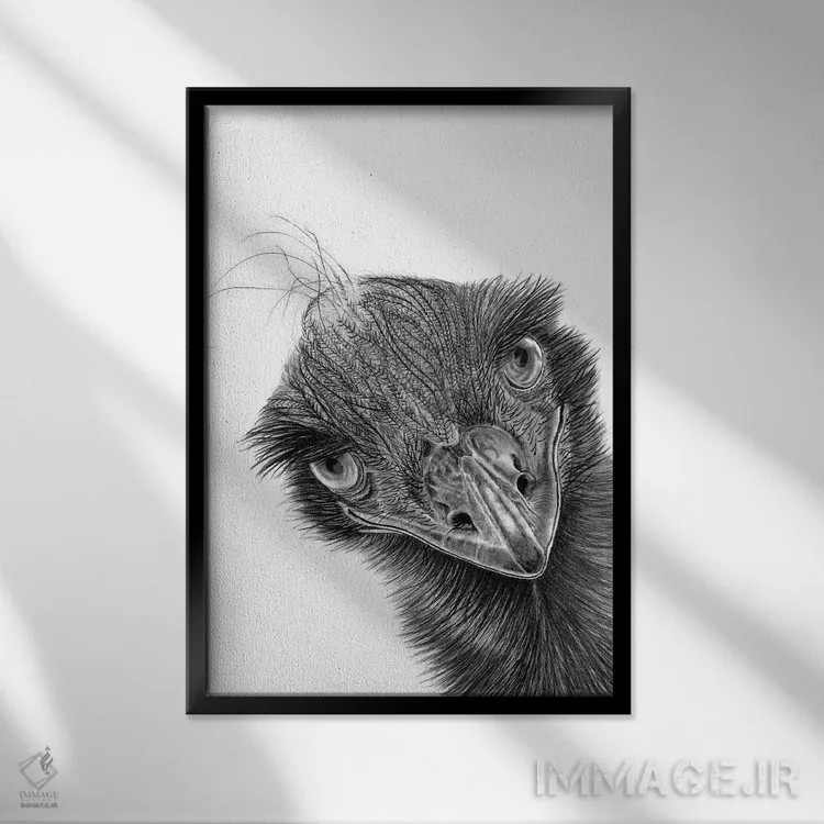 تابلو دکوراتیو ایمو اثر پل استوو - نمای قابدار مشکی