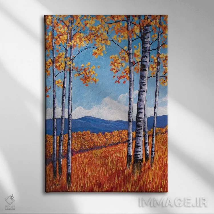 تابلو دکوراتیو Colorado,درختان آسپن در دامنه غربی، کلرادو اثر پتی بیکر - نمای روبهرو روی دیوار