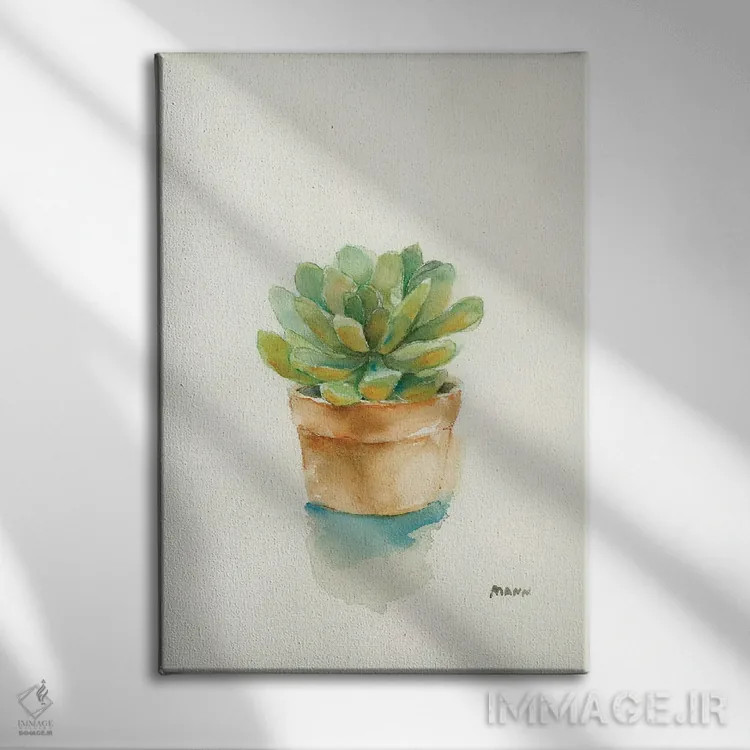 تابلو دکوراتیو ساکولنت ۲ اثر پتی من - نمای روبهرو روی دیوار