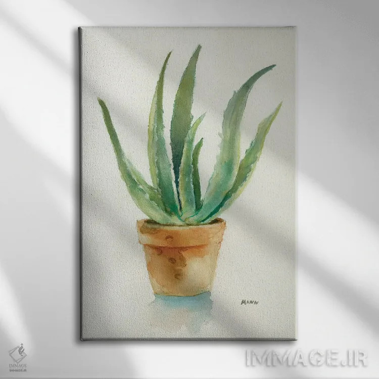 تابلو دکوراتیو ساکولنت IV اثر پتی من - نمای روبهرو روی دیوار