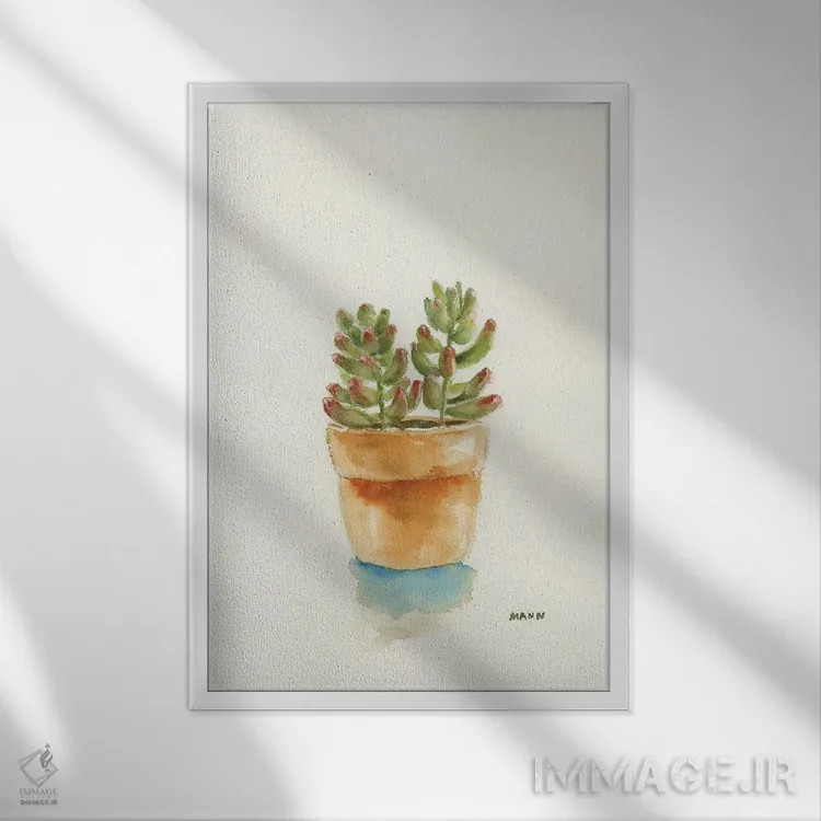 تابلو دکوراتیو ساکولنت III اثر پتی من - نمای قابدار سفید