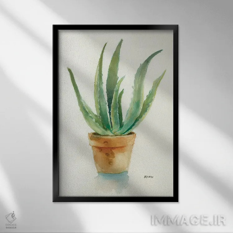 تابلو دکوراتیو ساکولنت IV اثر پتی من - نمای قابدار مشکی