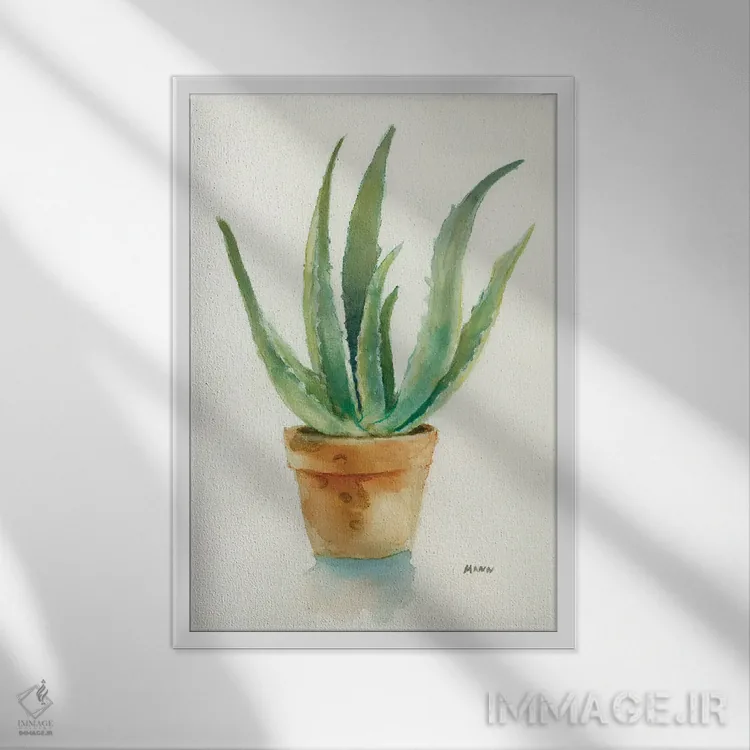 تابلو دکوراتیو ساکولنت IV اثر پتی من - نمای قابدار سفید