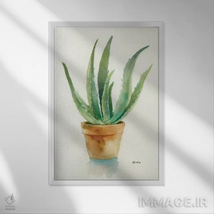 تابلو دکوراتیو ساکولنت IV اثر پتی من - نمای قابدار سفید