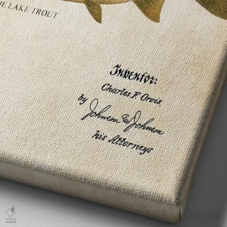 تابلو دکوراتیو طعمه ماهیگیری قزل آلای دریاچه اثر پتنت ۷۷ - نمای نزدیک بافت بوم