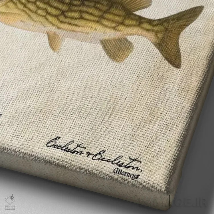 تابلو دکوراتیو طعمه ماهی گیری شمالی اثر پتنت ۷۷ - نمای نزدیک بافت بوم