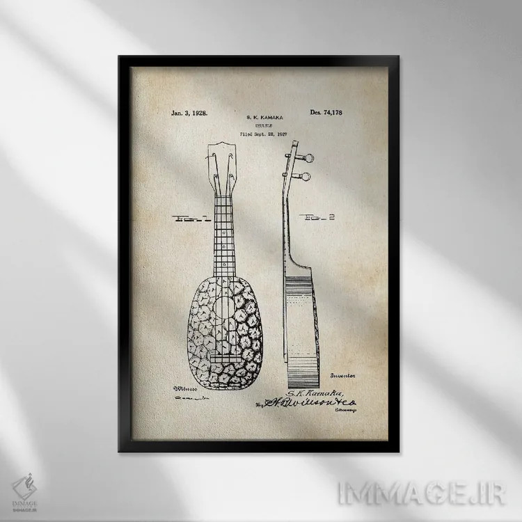 تابلو دکوراتیو یوکللی آناناسی اثر پتنت ۷۷ - نمای قابدار مشکی