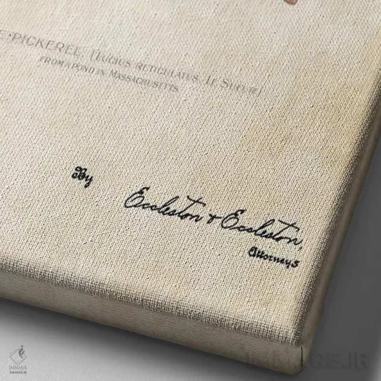 تابلو دکوراتیو طعمه ماهیگیری پیکرل اثر پتنت ۷۷ - نمای نزدیک بافت بوم