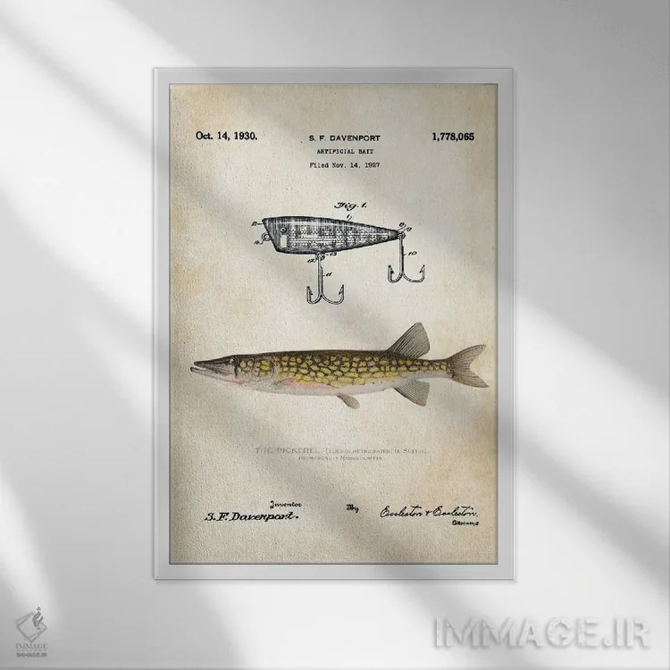 تابلو دکوراتیو طعمه ماهیگیری پیکرل اثر پتنت ۷۷ - نمای قابدار سفید