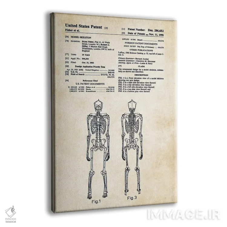 تابلو دکوراتیو اسکلت انسانی اثر پتنت ۷۷ - نمای پرسپکتیو محصول