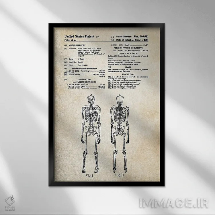 تابلو دکوراتیو اسکلت انسانی اثر پتنت ۷۷ - نمای قابدار مشکی