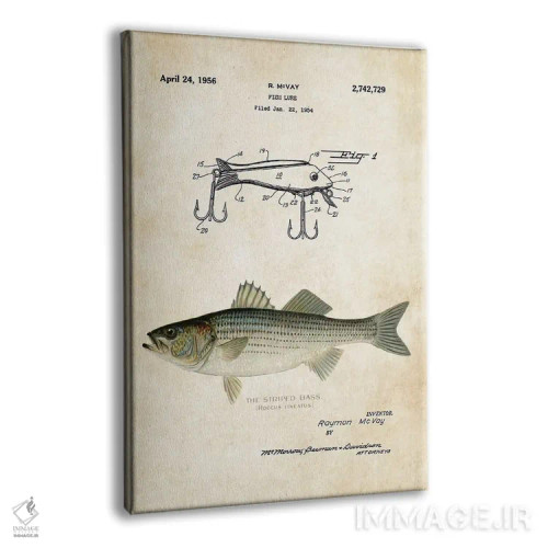 تابلو دکوراتیو طعمه ماهیگیری استریپد بس اثر پتنت ۷۷ - نمای پرسپکتیو محصول