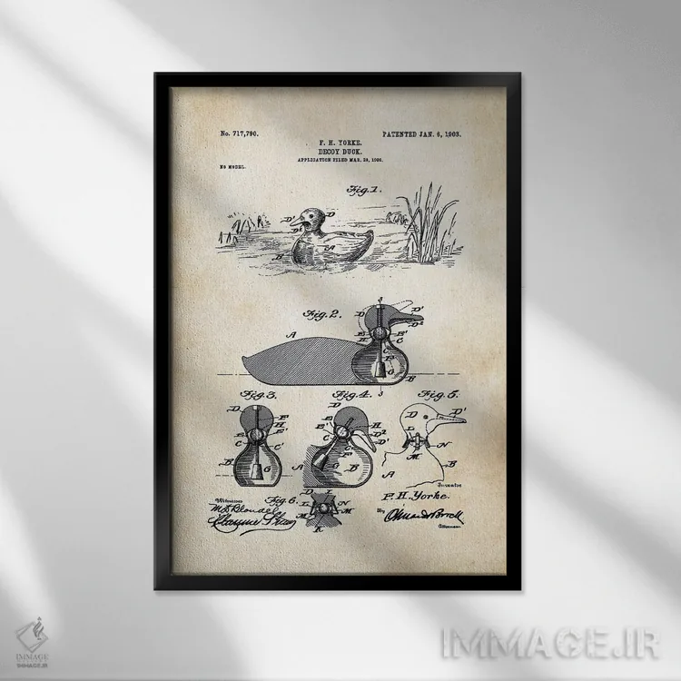 تابلو دکوراتیو فریب اردک اثر پتنت ۷۷ - نمای قابدار مشکی
