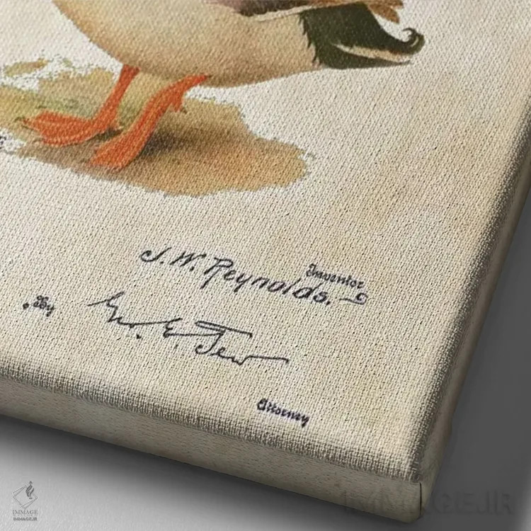 تابلو دکوراتیو فریب اردک اثر پتنت ۷۷ - نمای نزدیک بافت بوم