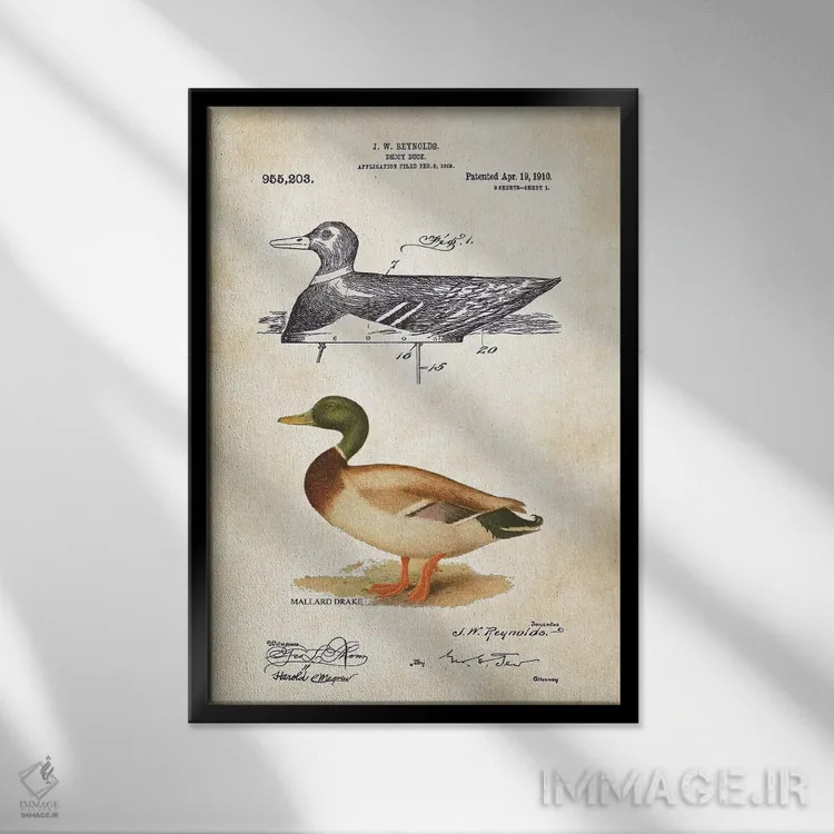 تابلو دکوراتیو فریب اردک اثر پتنت ۷۷ - نمای قابدار مشکی