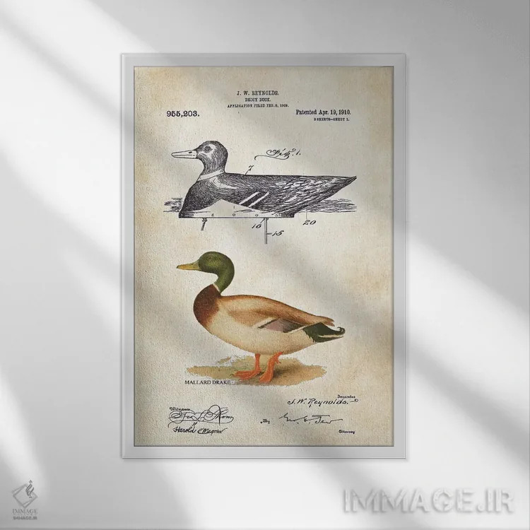 تابلو دکوراتیو فریب اردک اثر پتنت ۷۷ - نمای قابدار سفید