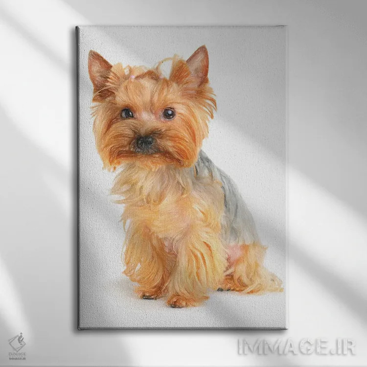 تابلو دکوراتیو سگ یورکشایر تریر با آبرنگ ۲ اثر پل رومر - نمای روبهرو روی دیوار