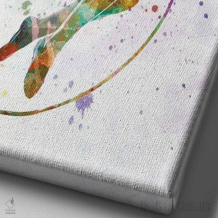 تابلو دکوراتیو پرش ژیمناستیک به سبک آبرنگ اثر پل رومر - نمای نزدیک بافت بوم