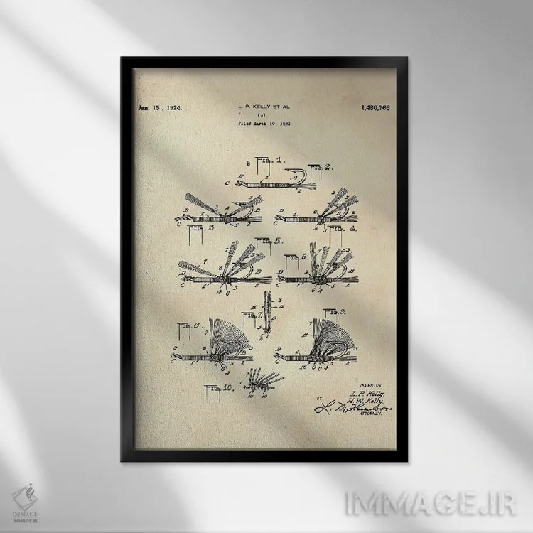 تابلو دکوراتیو حق ثبت اختراع مگس MMII اثر پل رومر - نمای قابدار مشکی