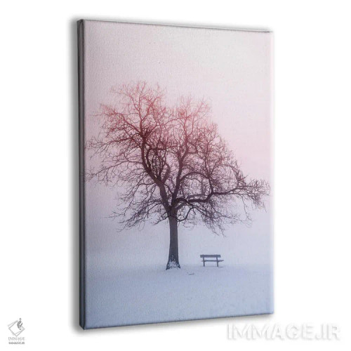 تابلو دکوراتیو درختان زمستانی در مه IV اثر پل رومر - نمای پرسپکتیو محصول