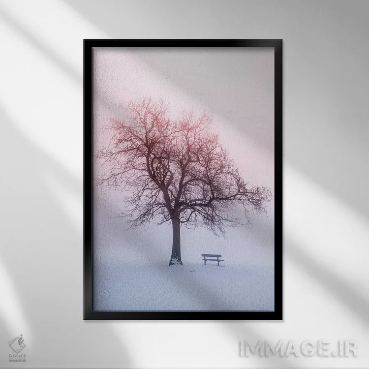 تابلو دکوراتیو درختان زمستانی در مه IV اثر پل رومر - نمای قابدار مشکی