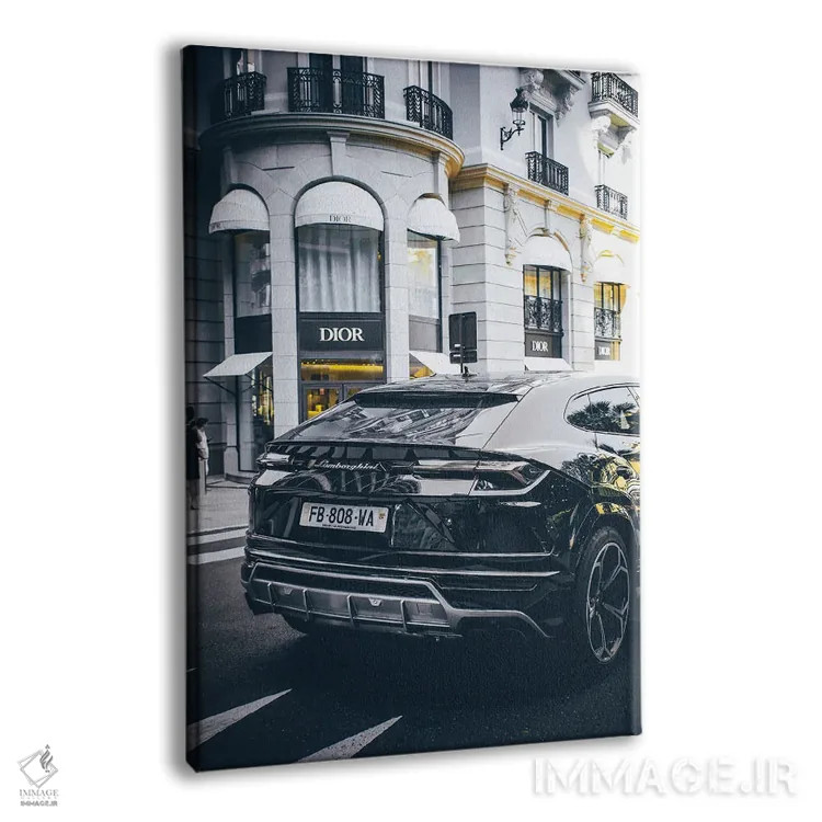 تابلو دکوراتیو دیور ۳ اثر پل رومر - نمای پرسپکتیو محصول