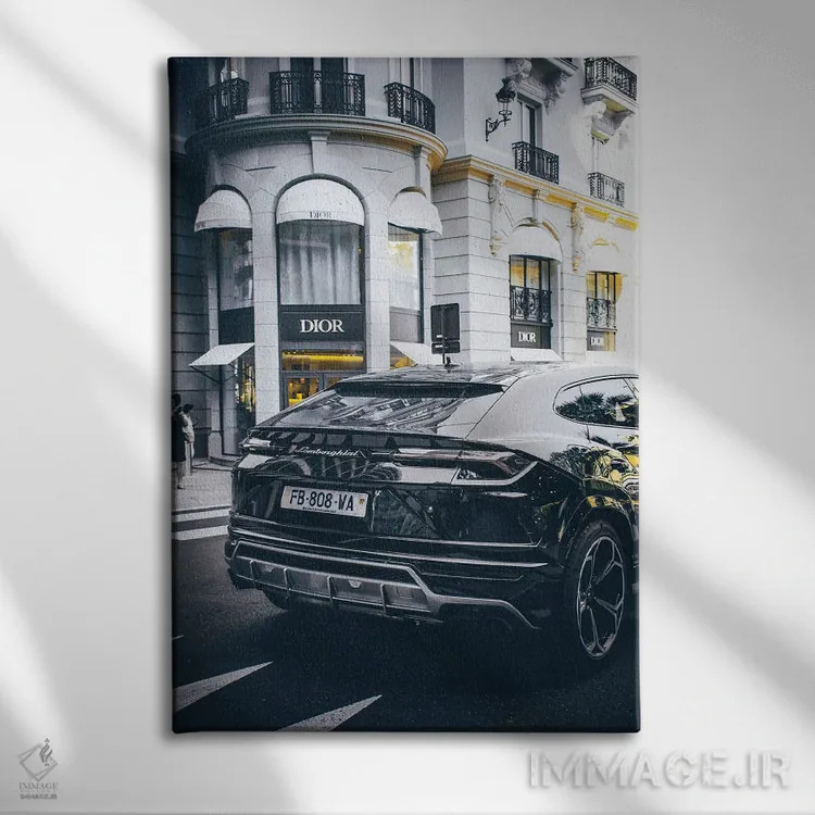 تابلو دکوراتیو دیور ۳ اثر پل رومر - نمای روبهرو روی دیوار