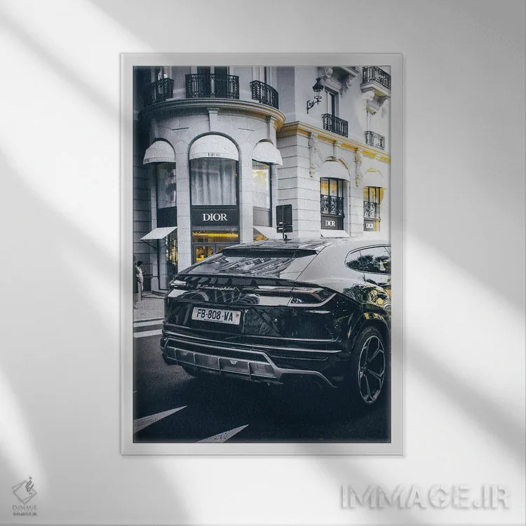 تابلو دکوراتیو دیور ۳ اثر پل رومر - نمای قابدار سفید