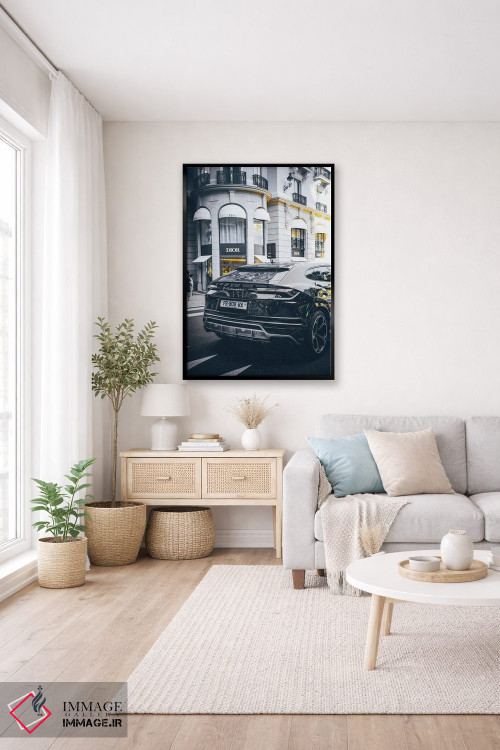 تابلو دکوراتیو دیور ۳ اثر پل رومر - D3B