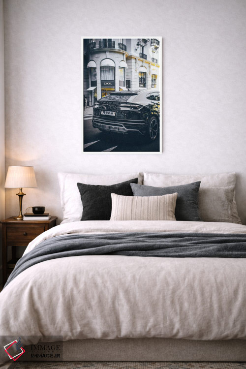 تابلو دکوراتیو دیور ۳ اثر پل رومر - D6W