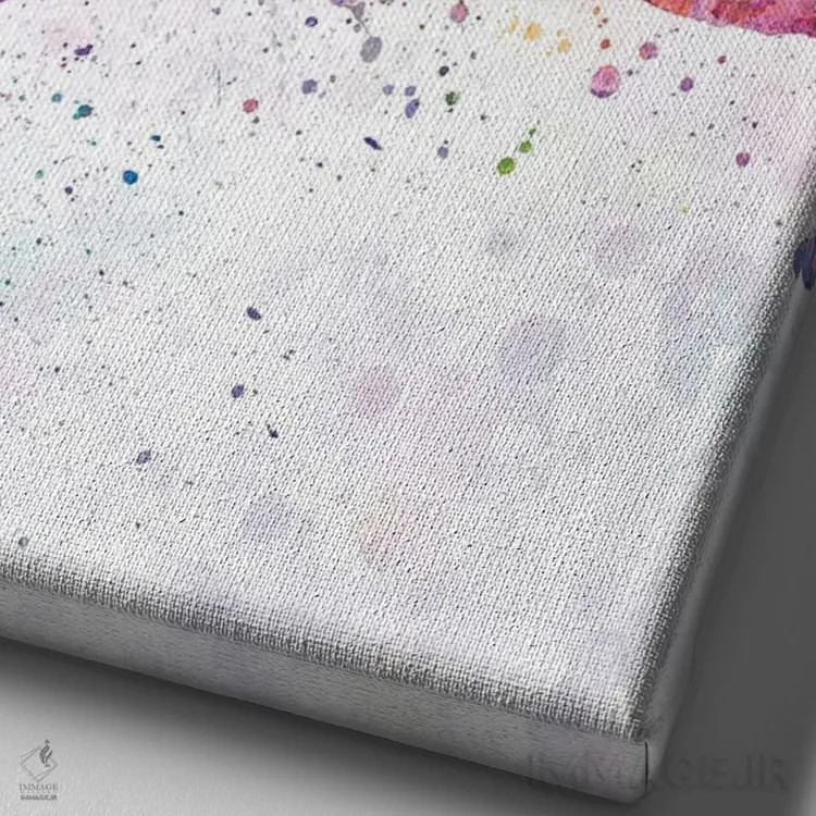 تابلو دکوراتیو ژیمناستیک ریتمیک شماره ۳ اثر پل رومر - نمای نزدیک بافت بوم