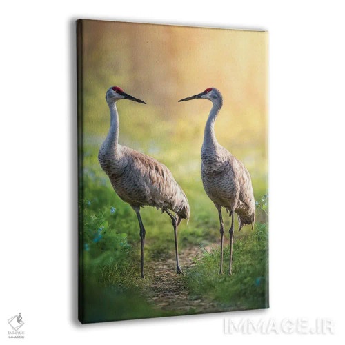 تابلو دکوراتیو درناهای سخنگو اثر پتسی وینگارت - نمای پرسپکتیو محصول