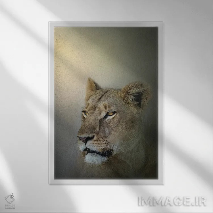 تابلو دکوراتیو شیر ماده در مه اثر پتسی وینگارت - نمای قابدار سفید
