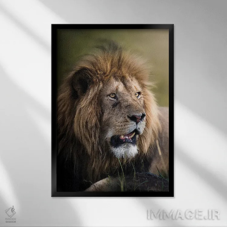 تابلو دکوراتیو مک دریمی مارا II اثر پتسی وینگارت - نمای قابدار مشکی