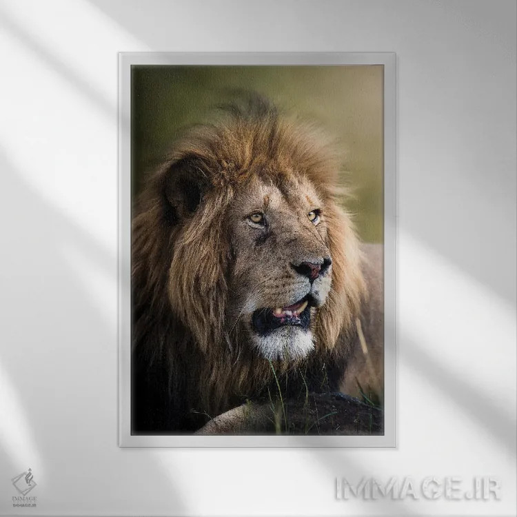 تابلو دکوراتیو مک دریمی مارا II اثر پتسی وینگارت - نمای قابدار سفید