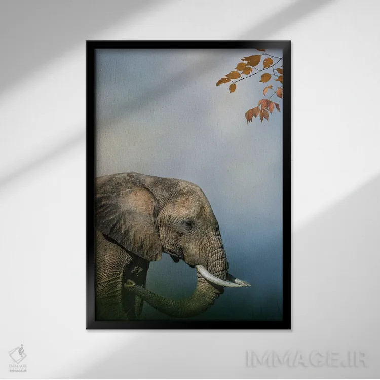 تابلو دکوراتیو نمای نیم رخ فیل اثر پتسی وینگارت - نمای قابدار مشکی