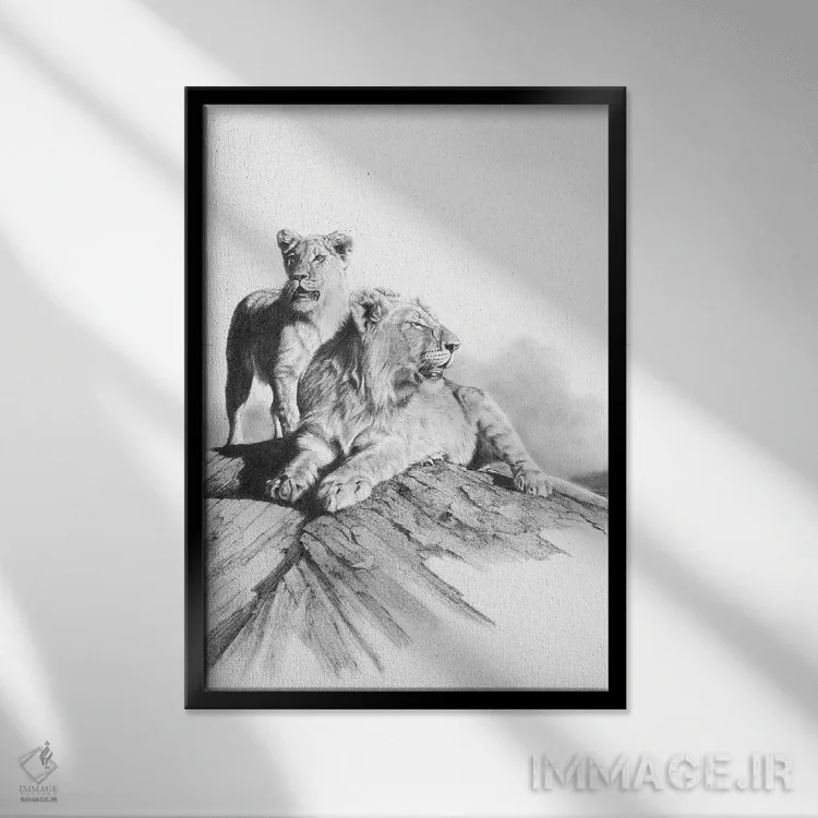 تابلو دکوراتیو د麻 مشکلات اثر پیتر ویلیامز - نمای قابدار مشکی