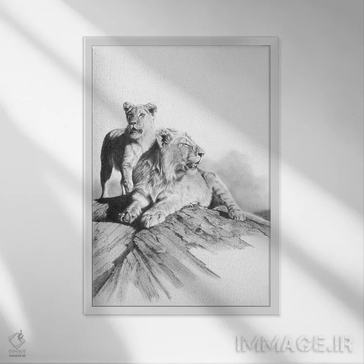 تابلو دکوراتیو د麻 مشکلات اثر پیتر ویلیامز - نمای قابدار سفید