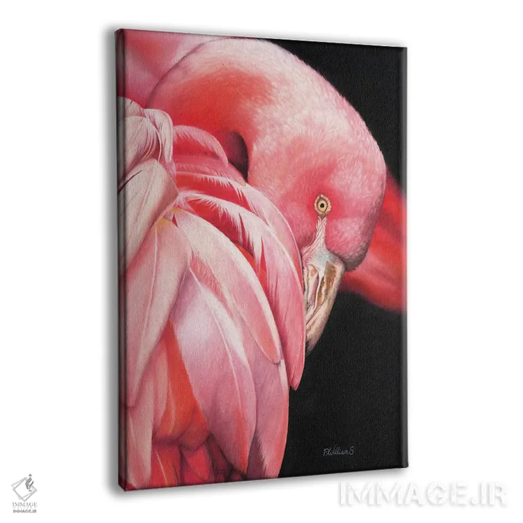 تابلو دکوراتیو فلامینگو زیبا اثر پیتر ویلیامز - نمای پرسپکتیو محصول