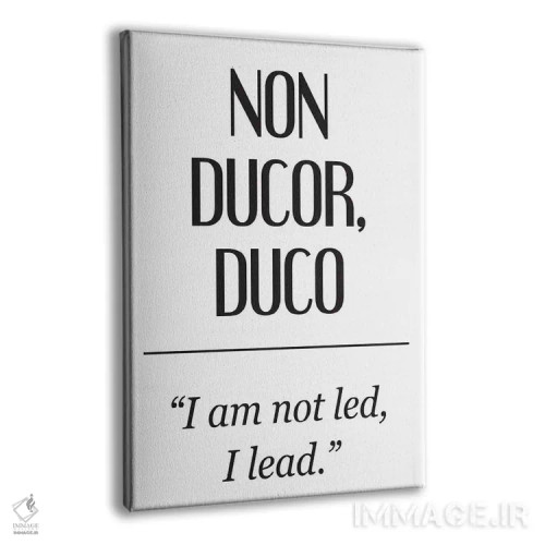 تابلو دکوراتیو معانی لاتین - نون دوکور اثر پیکسی پیپر - نمای پرسپکتیو محصول