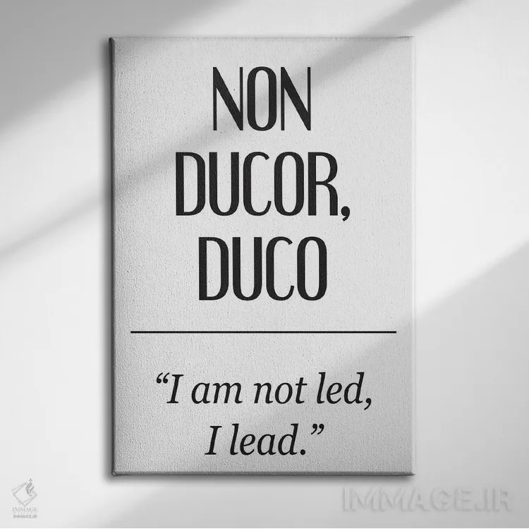 تابلو دکوراتیو معانی لاتین - نون دوکور اثر پیکسی پیپر - نمای روبهرو روی دیوار